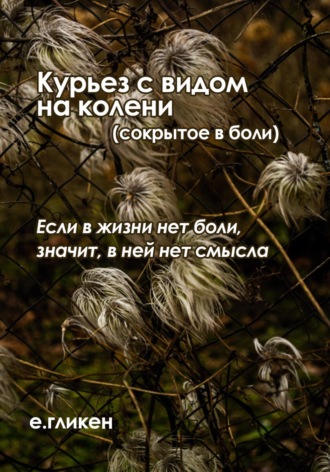 Екатерина Гликен, Курьез с видом на колени (сокрытое в боли)